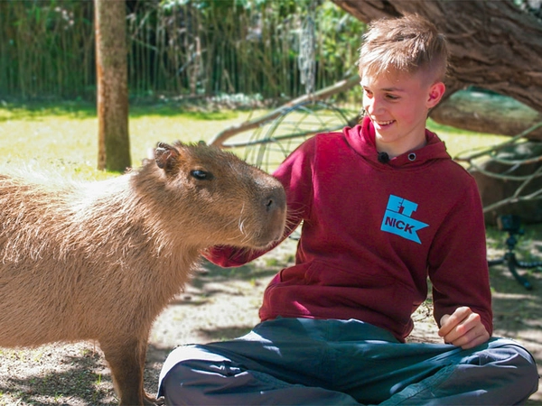 Nick aus der 1. Staffel von Elefant, Tiger & Kids mit einem Wasserschwein im Zoo Leipzig, Foto: MDR / Cine Impuls Leipzig GmbH