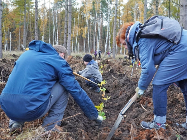 Die "Kraft-Bäume" im neu angelegten UKL-Wald stehen für individuelle Hoffnungen im Kampf gegen Krebs und universelle Symbole für Kraft und Nachhaltigkeit. Foto: privat