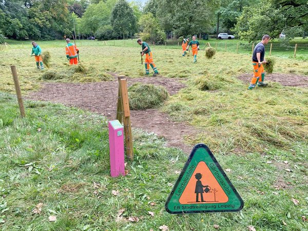 Im Johannapark entstehen zwei artenreiche Langgraswiesen, Foto: Stadtreinigung Leipzig