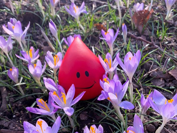 Unter dem Motto "Mach' doch mal Frühling!" möchte die UKL-Blutbank mit einem attraktiven Gewinnspiel Blutspendewillige vor und nach Ostern verstärkt zum Helfen motivieren. Foto: Isabell Tschirner/UKL