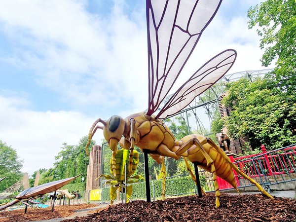 Macao-Papierwespe als Vertreterin der vietnamesischen Insekten, Foto: Zoo Leipzig