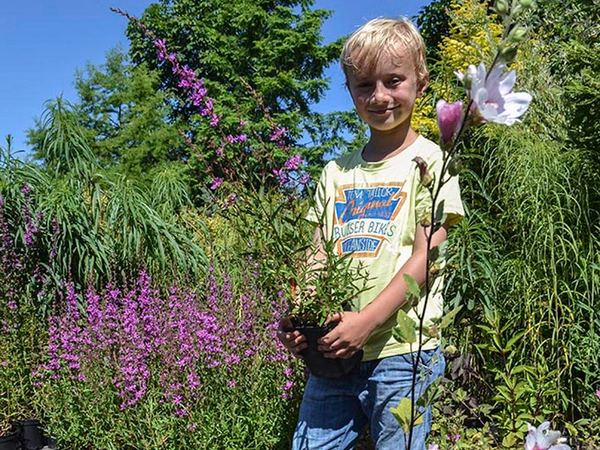 Leipziger Pflanzenmarkt, Foto: Botanischer Garten