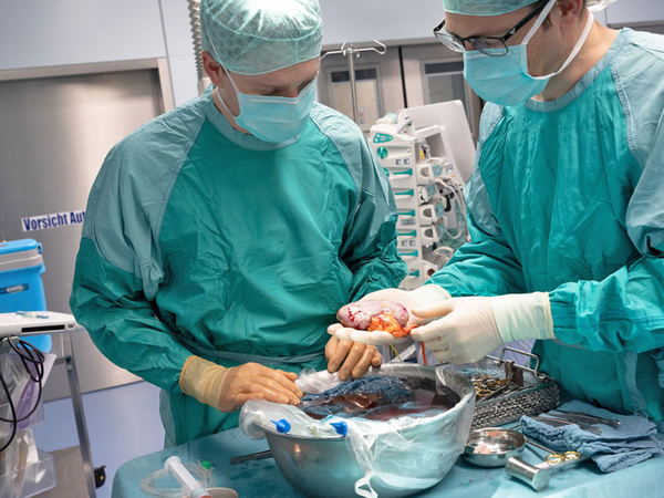 Prof. Daniel Seehofer (re.) und Dr. Maximilian Brunotte bei einer Lebendnierentransplantation. Foto: Stefan Straube / UKL