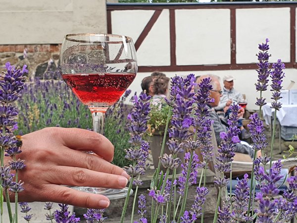 Führung und Weinprobe Schillergarten Leipzig, Foto: SGM