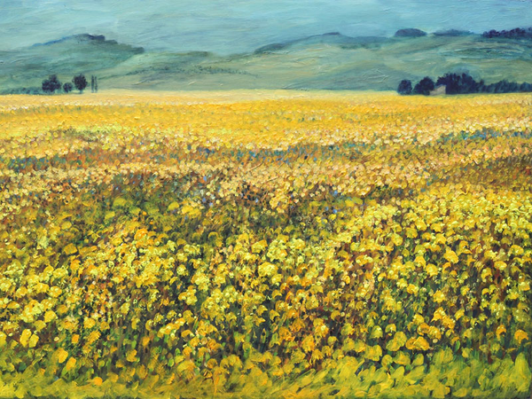 Joachim Zetzsche: Sommer in der Provence 2013-2017, Öl: 100x150