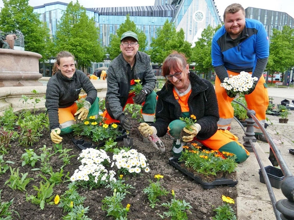 Die Gärtner und Gärtnerinnen der Stadtreinigung Leipzig bepflanzen das Beet um den Mendebrunnen. Foto: 