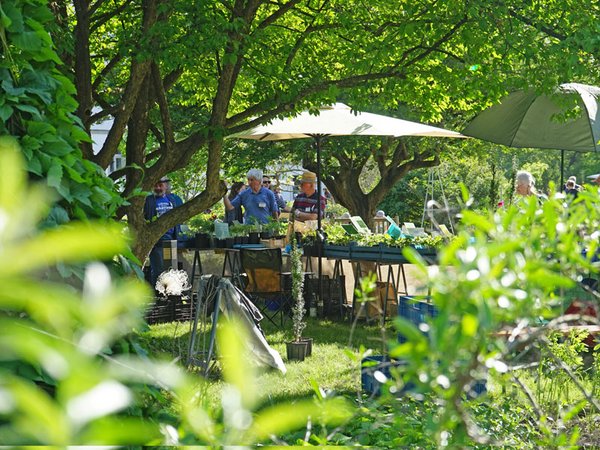 Der Leipziger Pflanzenmarkt, Foto: Botanischer Garten Leipzig