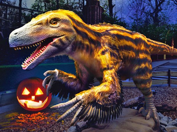 Halloween im Zoo, Foto: Zoo Leipzig