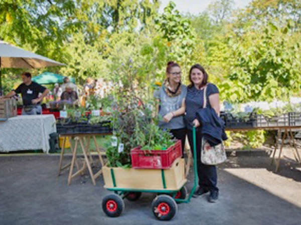 Pflanzenmarkt im Botanischen Garten Leipzig, Foto: Botanischer Garten / Claudia Masur