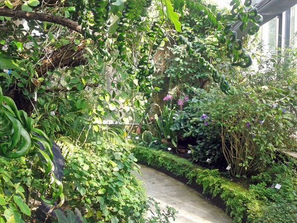 Botanischer Garten