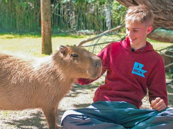 Elefant, Tiger & Kids: Nick mit einem Wasserschwein, Foto: MDR / Cine Impuls Leipzig GmbH