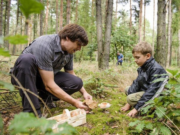 Pilzsammler in der Dahlener Heide, Foto: Christian Hüller