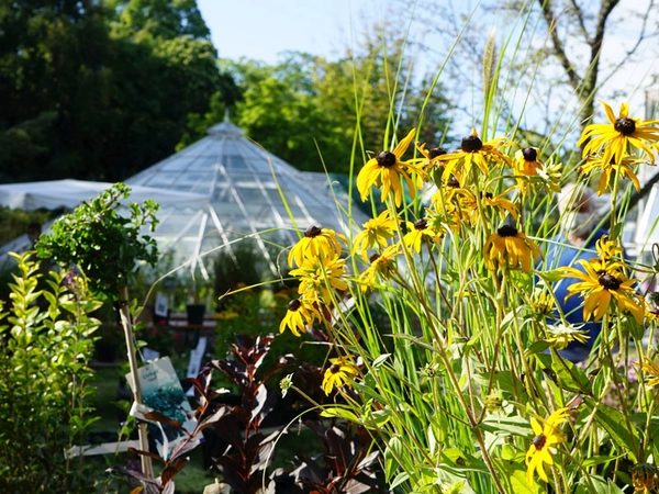 Herbstpflanzenmarkt im Botanischen Garten, Foto: Botanischer Garten Leipzig