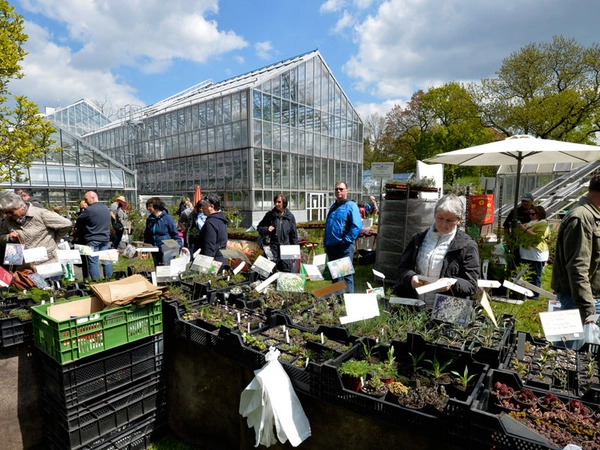 Pflanzenmarkt im Botanischen Garten, Foto: Volkmar Heinz