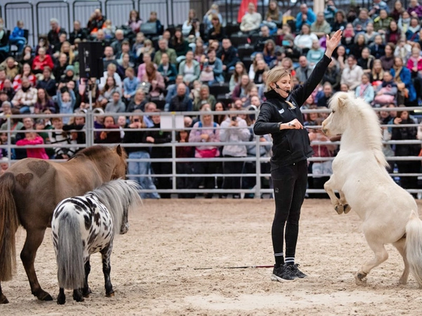 Partner Pferd 2025, Foto: Leipziger Messe