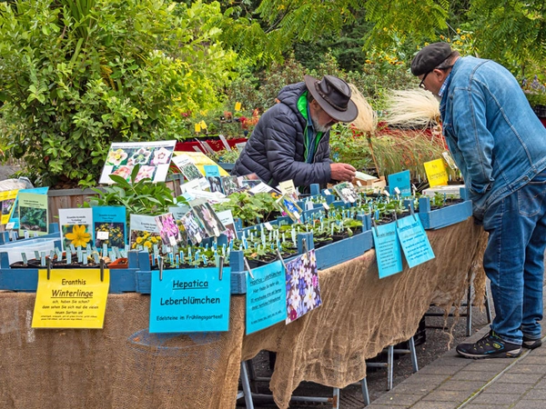 Pflanzenmarkt im Botanischen Garten Leipzig, Foto: Ulrike Pulanco