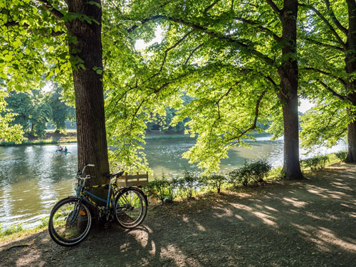 Weiße Elster in Leipzig, Foto: Animaflora PicsStock / Adobe Stock